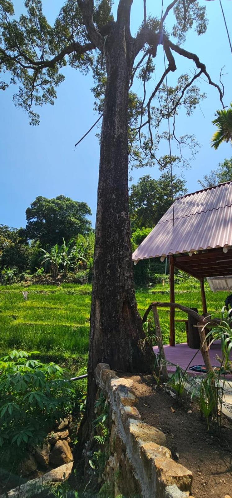Villa Kingdom Of Rustic Ella Exterior foto